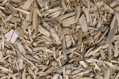 biomass boilers Tal Y Coed